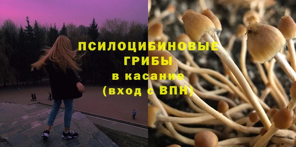 ALPHA PVP Кинешма