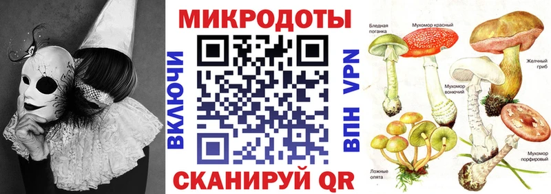 Купить закладки  Магадан  Галлюциногенные грибы GOLDEN TEACHER 